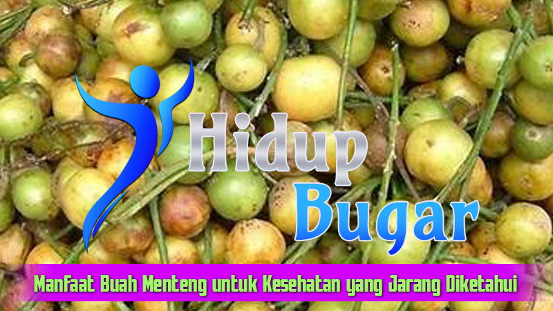 Manfaat Buah Menteng untuk Kesehatan yang Jarang Diketahui