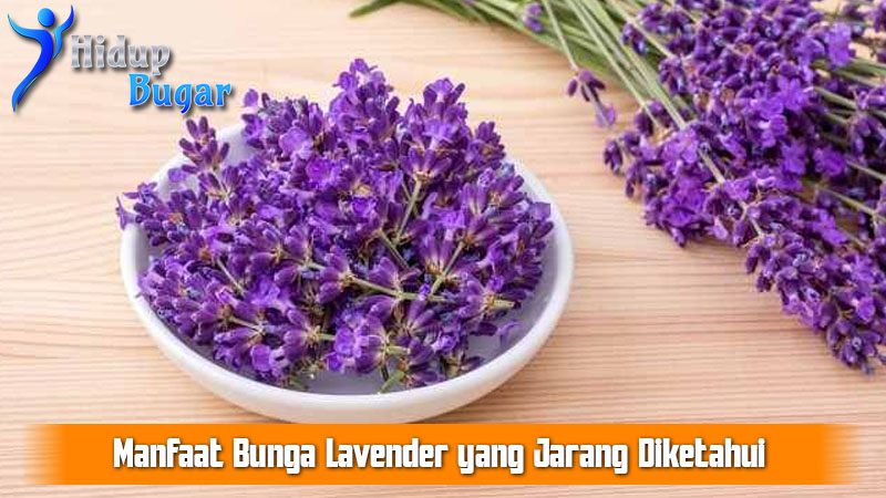 Manfaat Bunga Lavender yang Jarang Diketahui