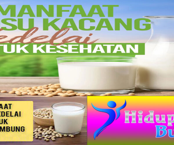 Manfaat Susu Kedelai untuk Asam Lambung
