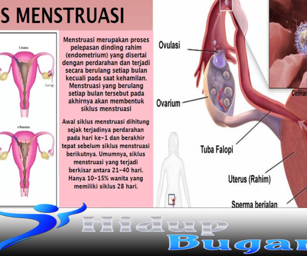 Jenis Gangguan Menstruasi yang Perlu Diwaspadai