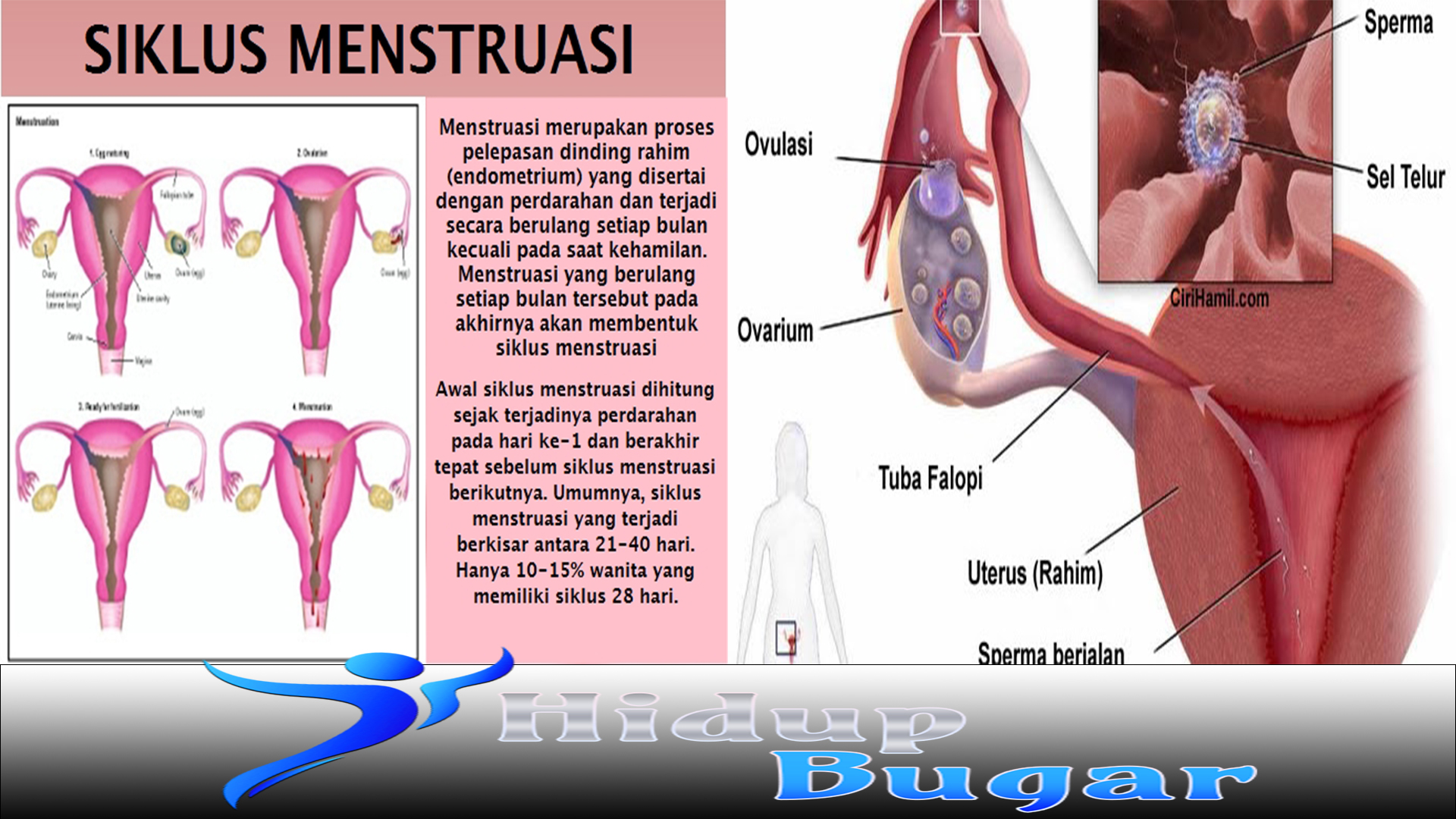Jenis Gangguan Menstruasi yang Perlu Diwaspadai