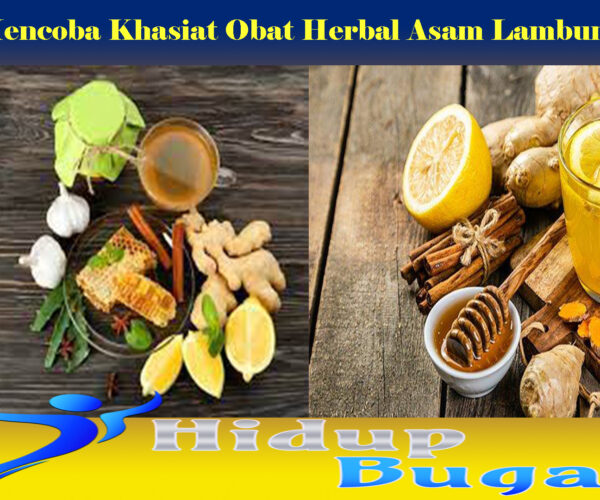 Mencoba Khasiat Obat Herbal Asam Lambung