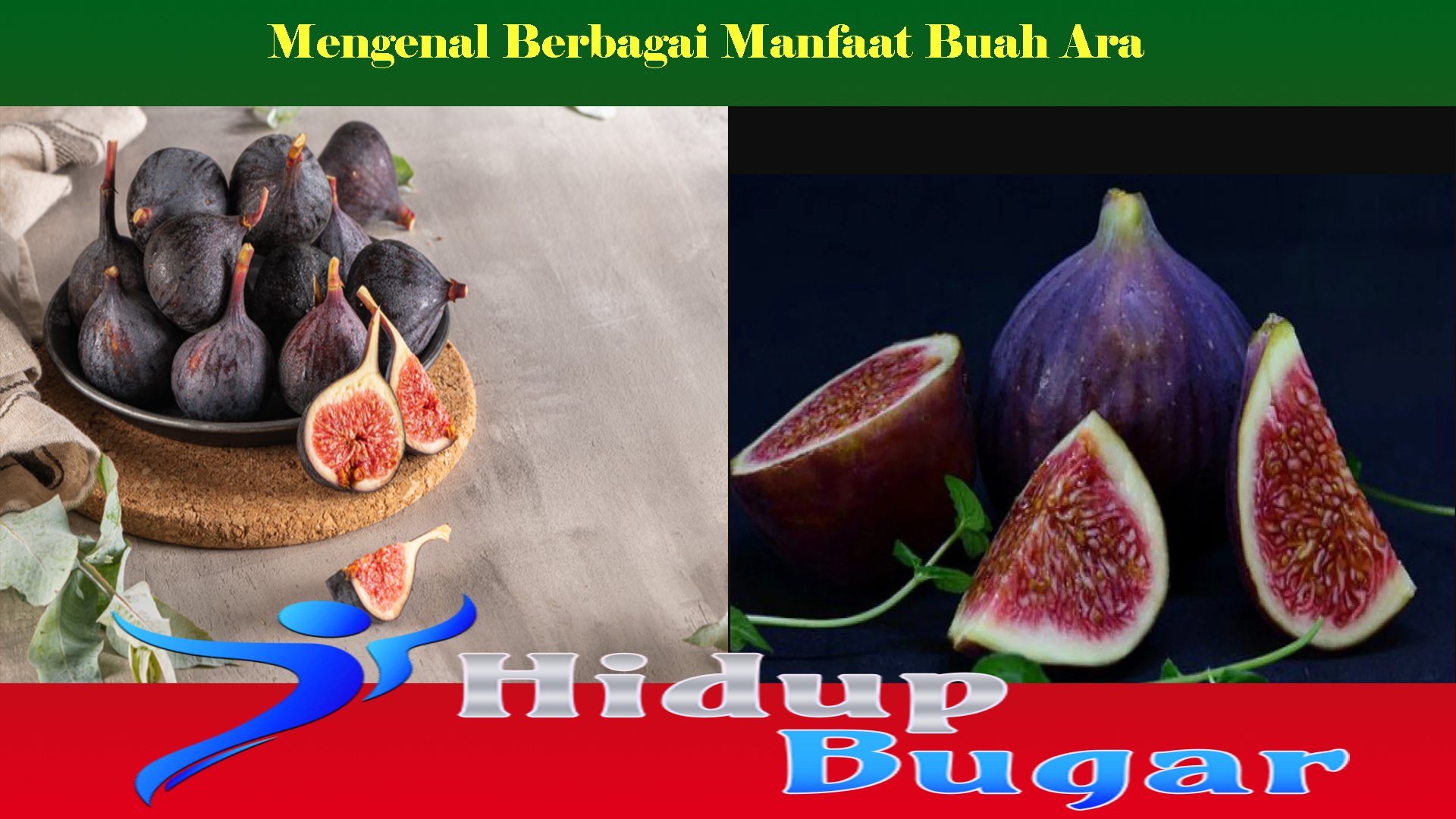 Mengenal Berbagai Manfaat Buah Ara