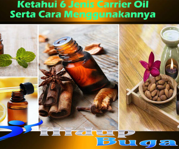 Ketahui 6 Jenis Carrier Oil Serta Cara Menggunakannya