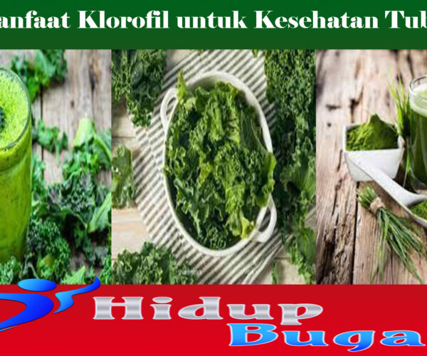 Manfaat Klorofil untuk Kesehatan Tubuh