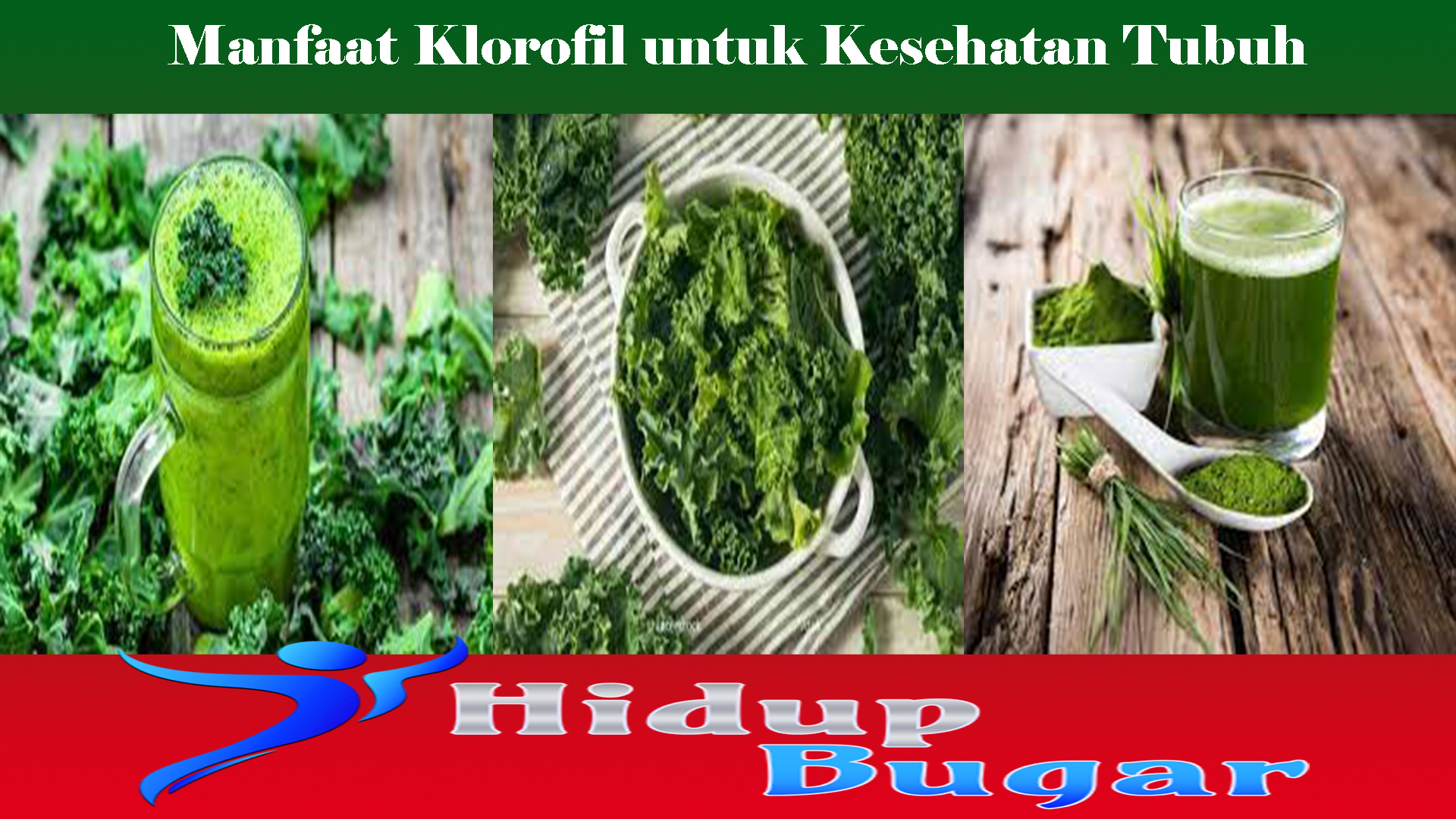Manfaat Klorofil untuk Kesehatan Tubuh