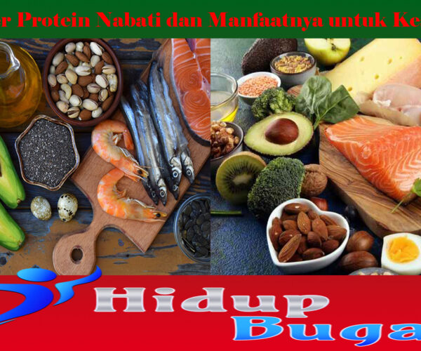 Sumber Protein Nabati dan Manfaatnya untuk Kesehatan