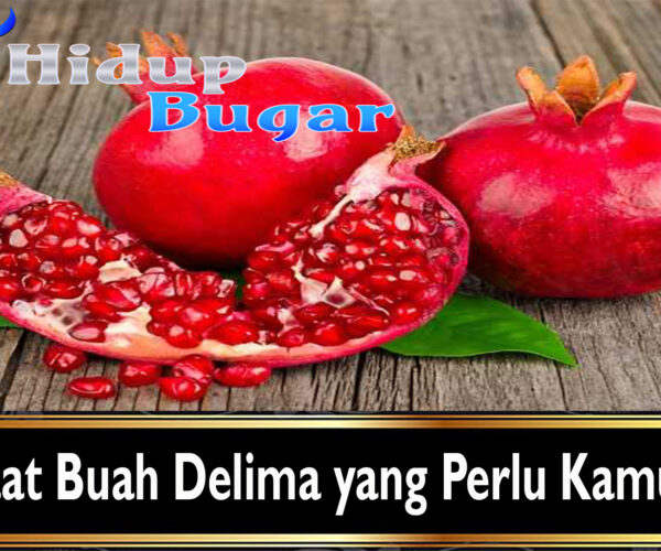 Manfaat Buah Delima yang Perlu Kamu Tahu