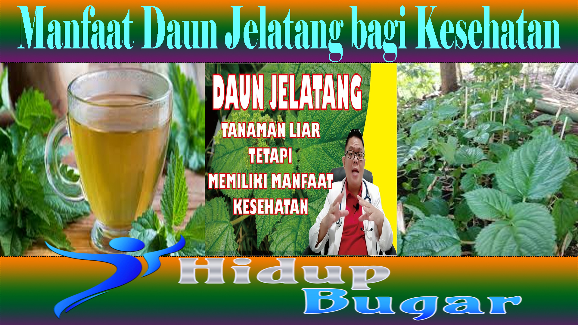 Manfaat Daun Jelatang bagi Kesehatan
