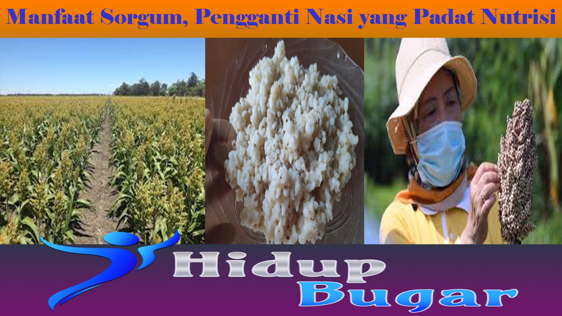 Manfaat Sorgum, Pengganti Nasi yang Padat Nutrisi