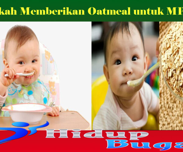 Bolehkah Memberikan Oatmeal untuk MPASI?