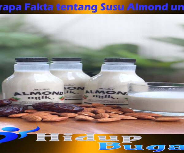 Ini beberapa Fakta tentang Susu Almond untuk Diet
