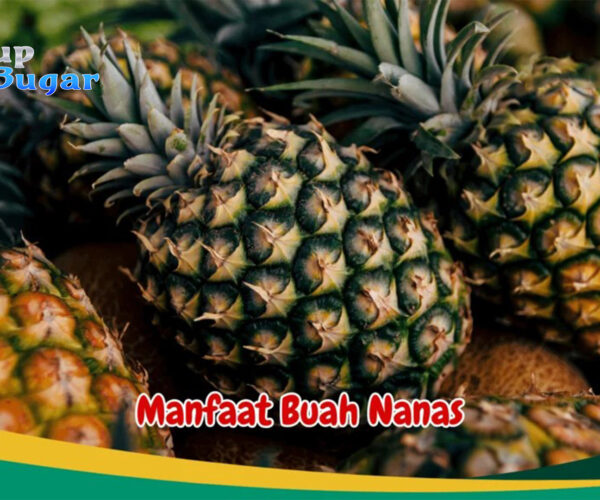 Manfaat Buah Nanas bagi Kesehatan