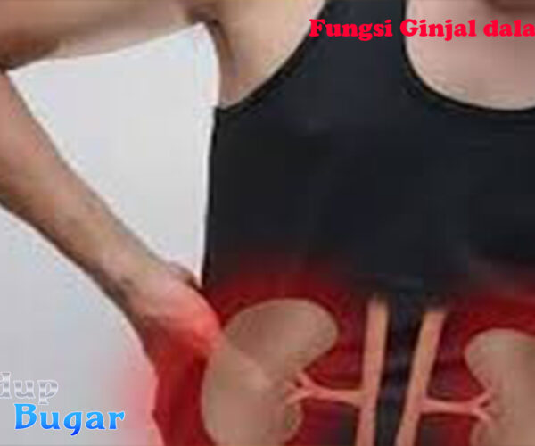 Jangan Sepelekan Fungsi Ginjal dalam Tubuh