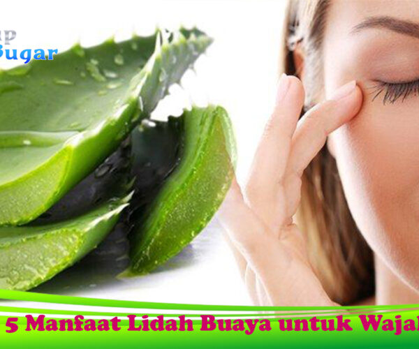 Ini 5 Manfaat Lidah Buaya untuk Wajah