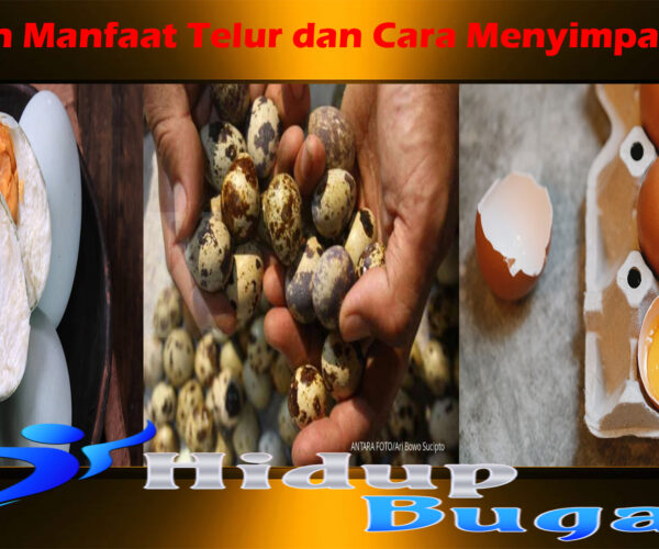 Inilah Manfaat Telur dan Cara Menyimpannya