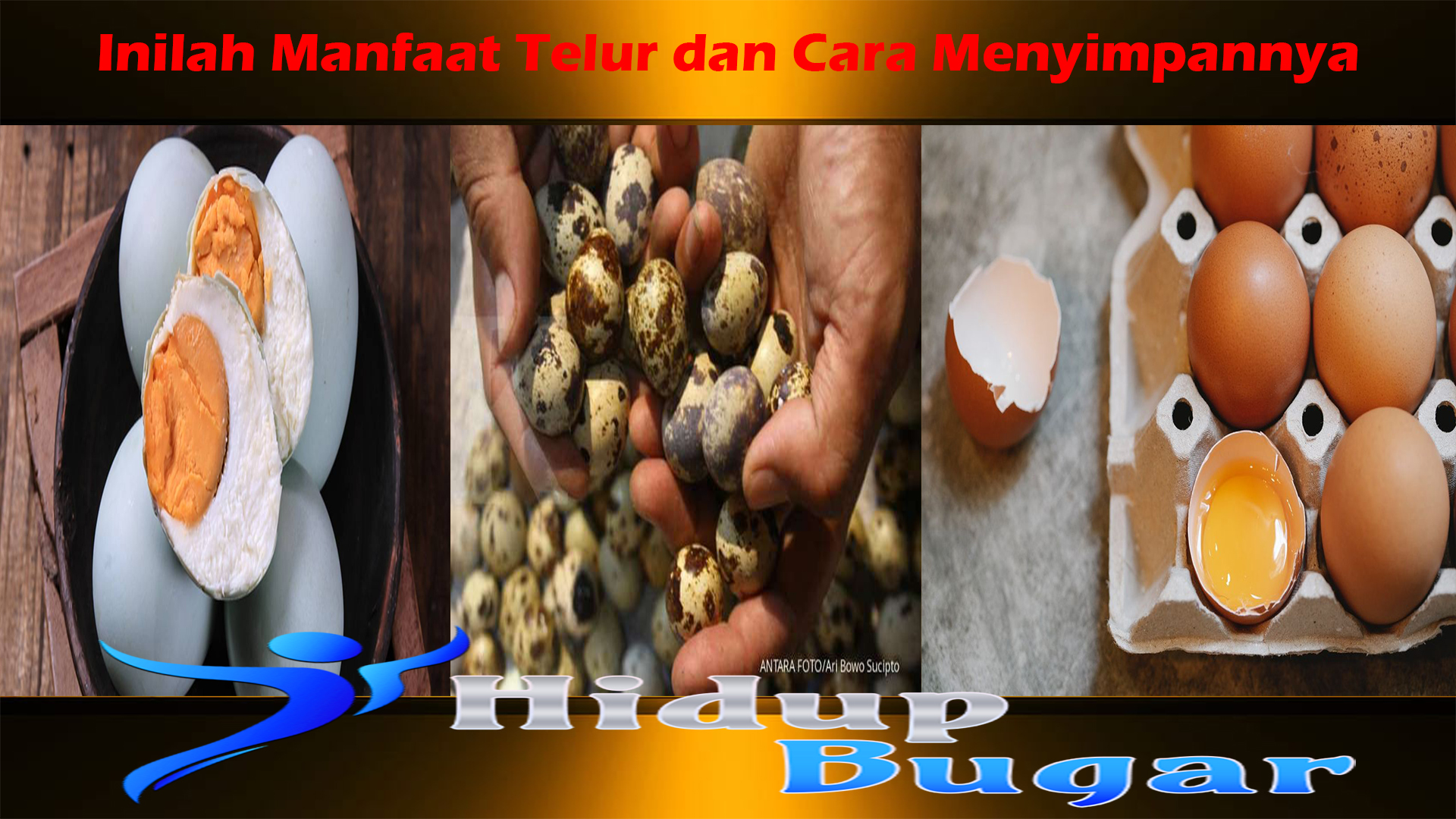 Inilah Manfaat Telur dan Cara Menyimpannya