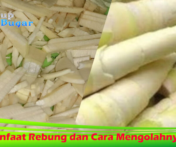 Manfaat Rebung dan Cara Mengolahnya