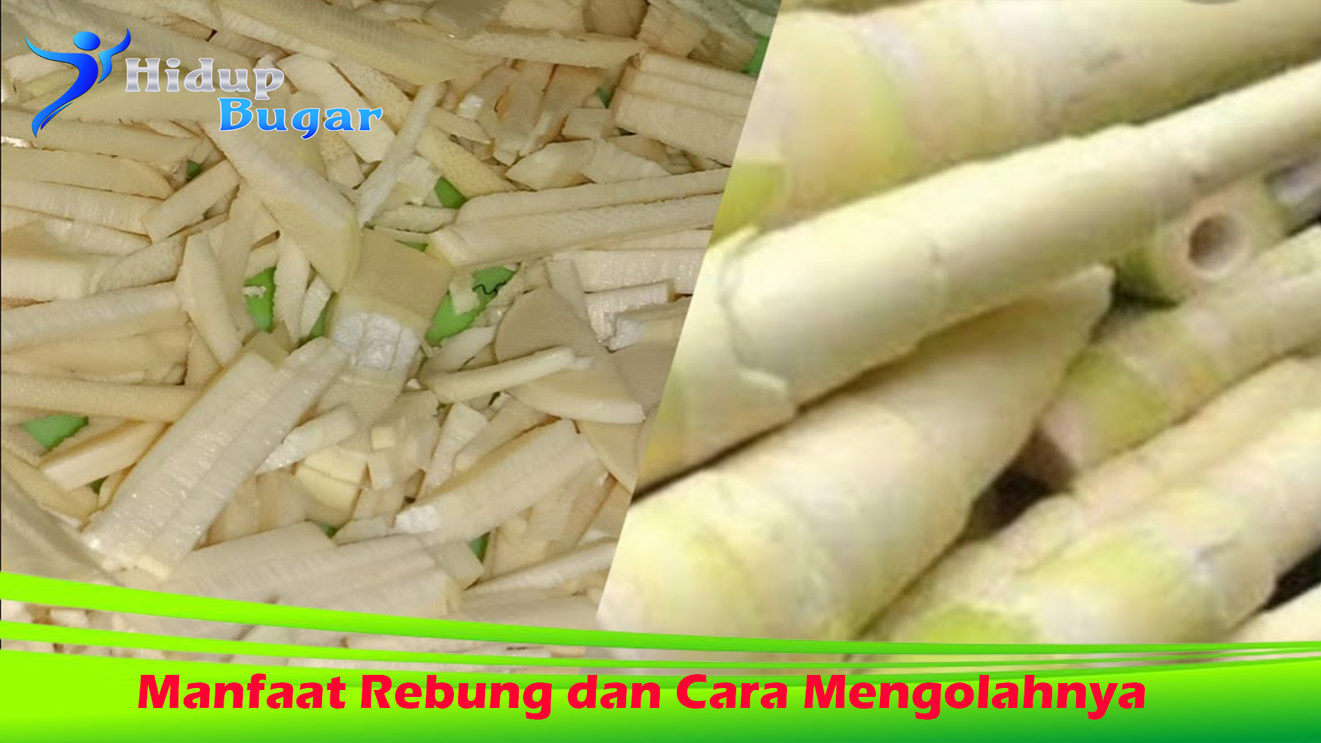 Manfaat Rebung dan Cara Mengolahnya