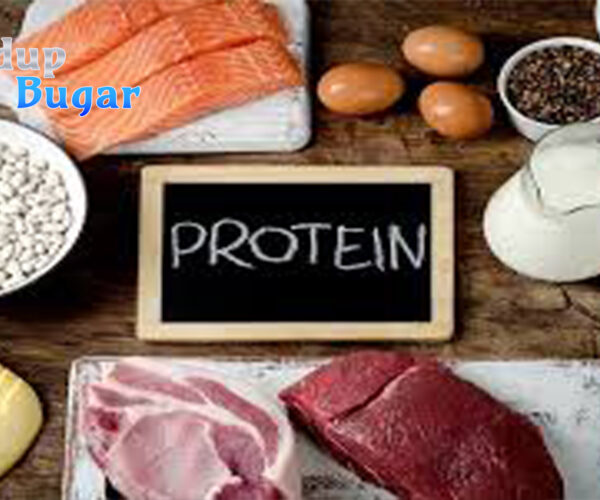 Ketahui Makanan Berprotein Tinggi dan Manfaatnya di Sini!