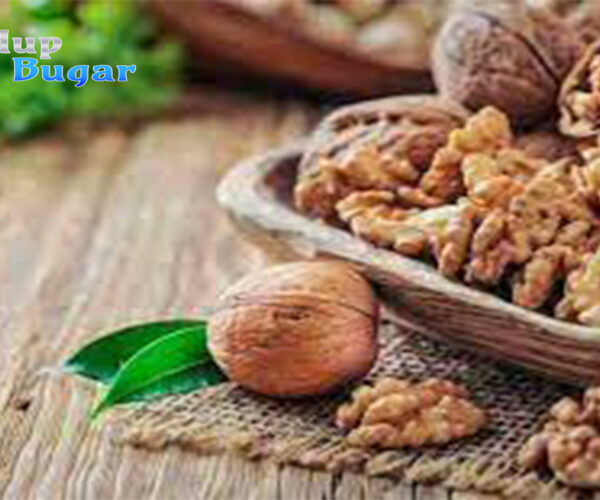 Manfaat dari Kacang Kenari dan Beragam Kandungan di Dalamnya    