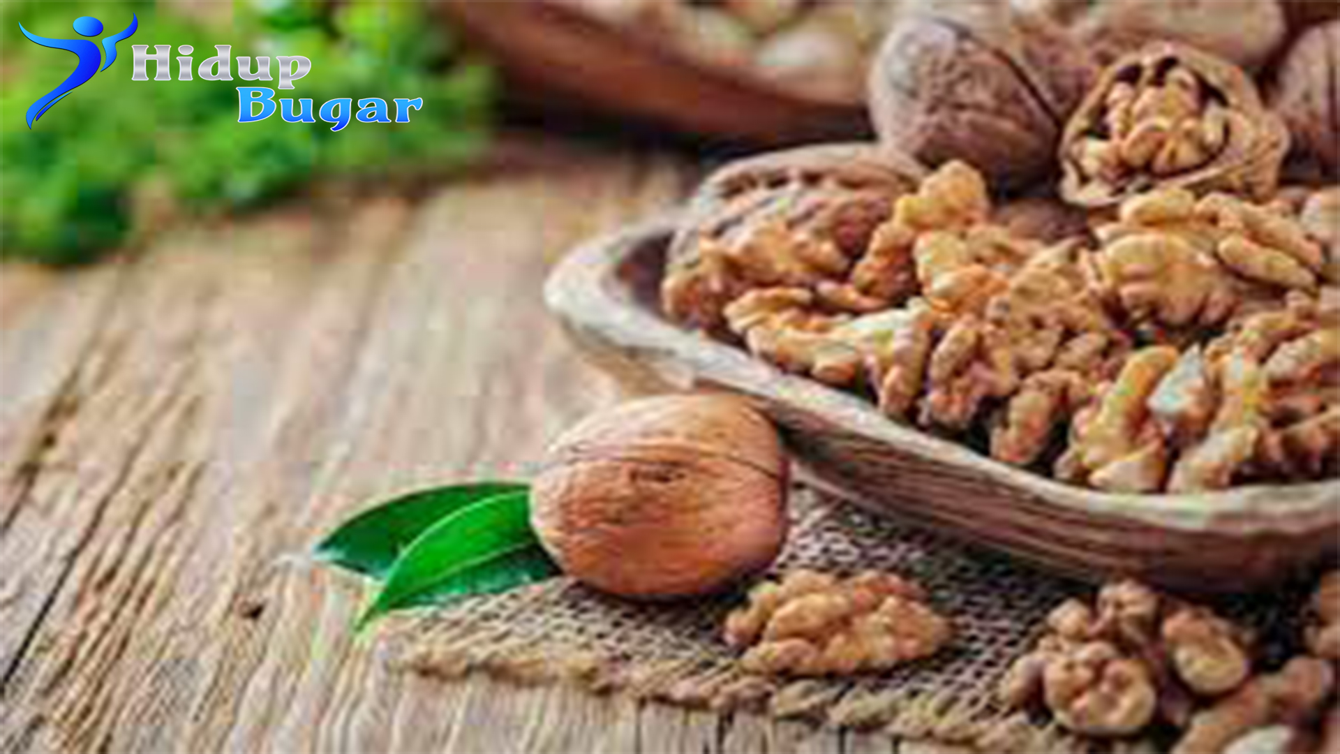 Manfaat dari Kacang Kenari dan Beragam Kandungan di Dalamnya    