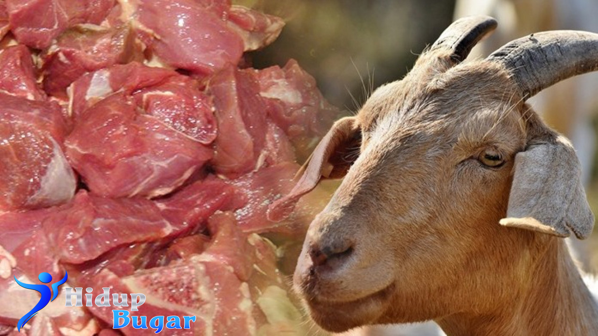 Cara Mengolah Daging Kambing untuk Kesehatan dan Manfaatnya